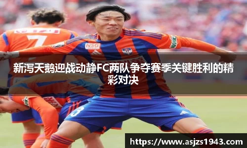 新泻天鹅迎战动静FC两队争夺赛季关键胜利的精彩对决